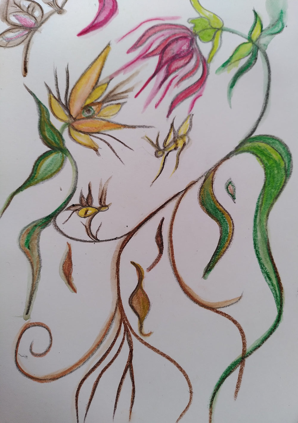 A Message from the Plants and Trees