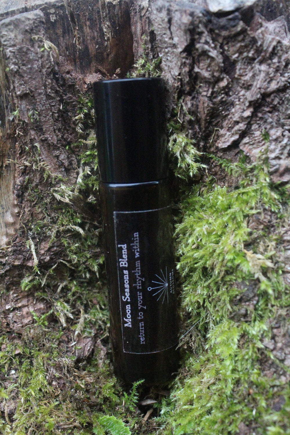 Being Held in Sacred Cycles