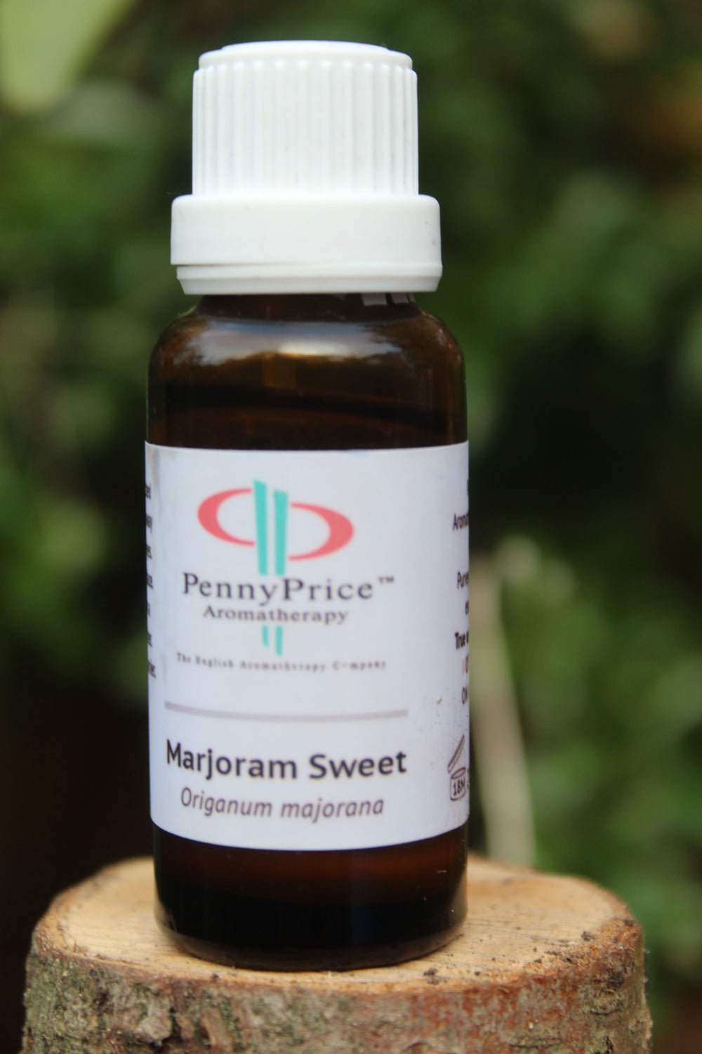 Aromatherapy Practices for Autumn