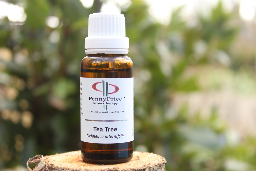 Recipe Card: Your First Aid Kit