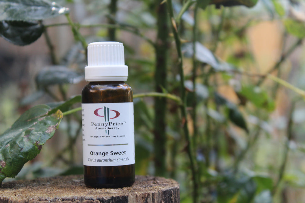 Orange Sweet: What is its essence?