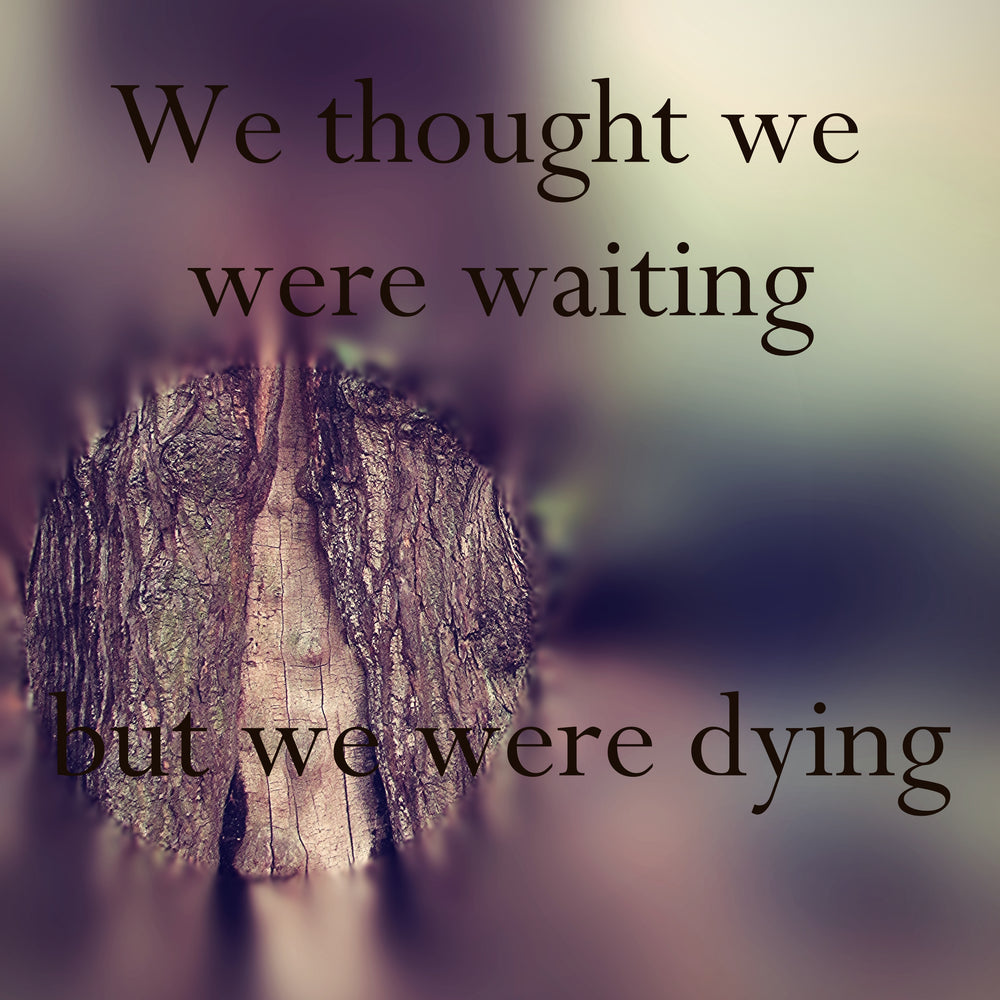 Folding Back: Channelling the Goddess