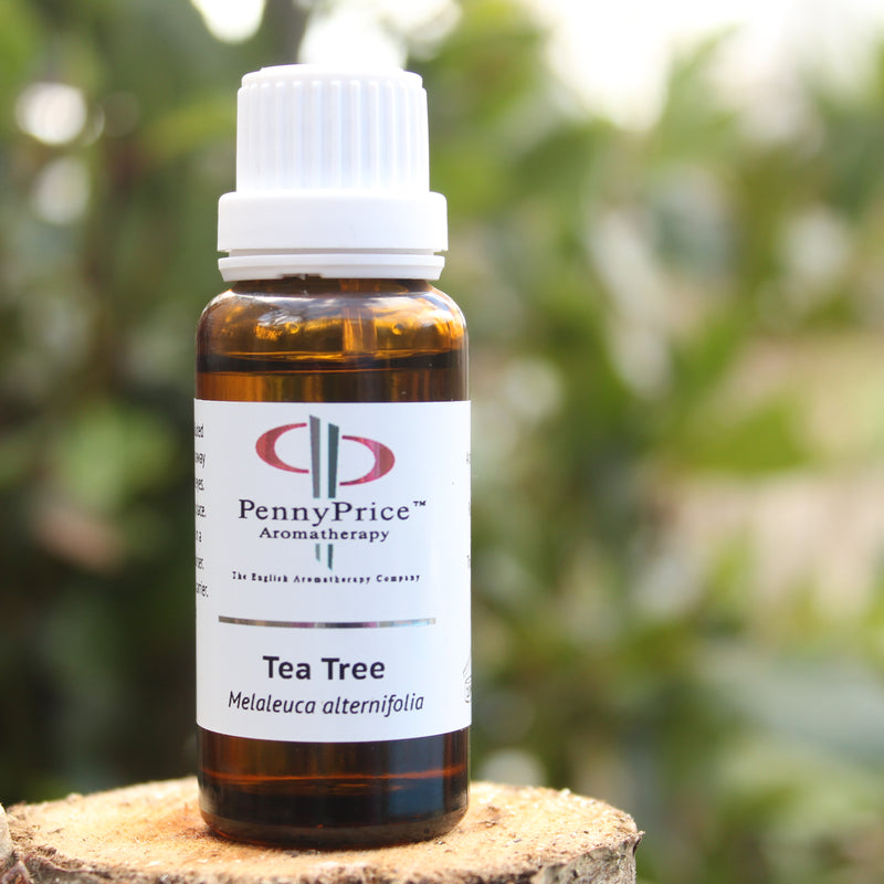 Recipe Card: Your First Aid Kit