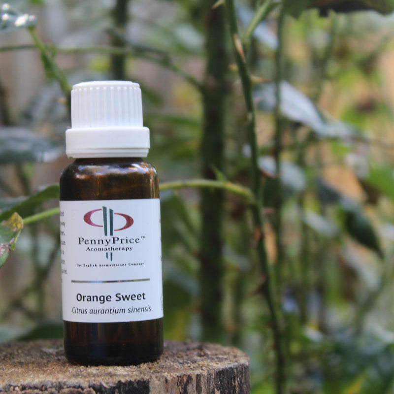 Orange Sweet: What is its essence?