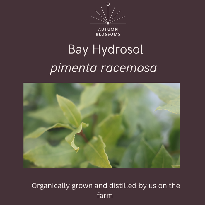 Bay Hydrosol