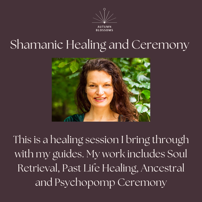 Shamanic Healing Sessions
