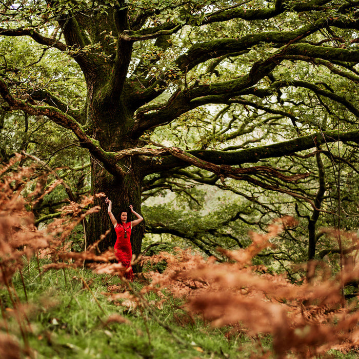 Tending the Roots; Ancestral Foundations: PDF Guide