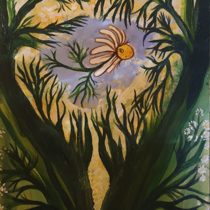 Earth Wisdom Circles