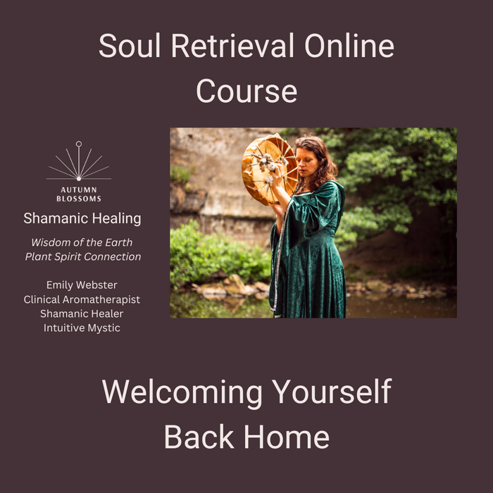 Soul Retrieval Online Course